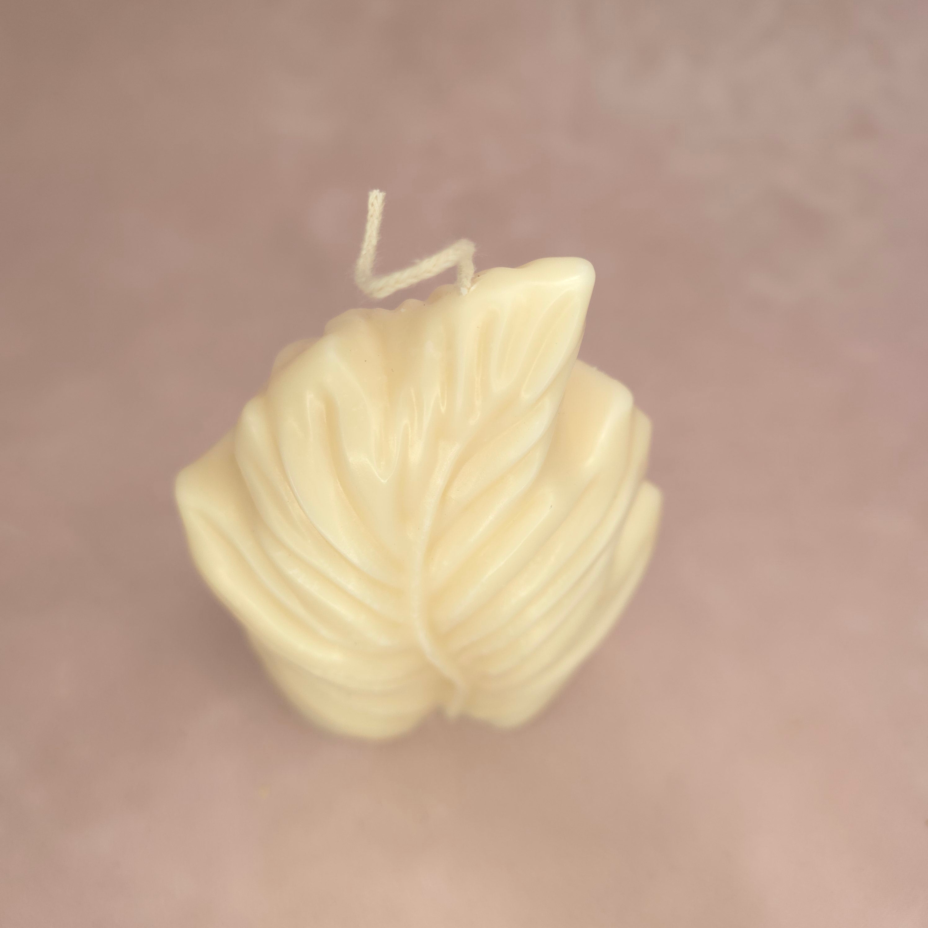 Handgegossene Kerzen "Blatt" aus Sojawachs